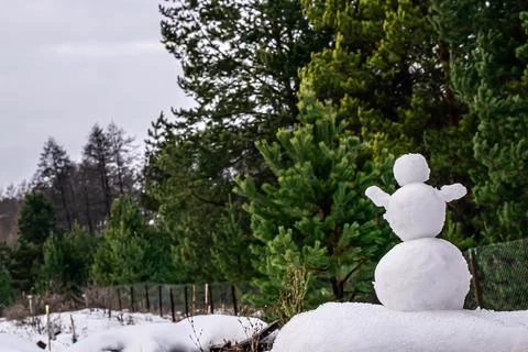 Snowman on the background of the forest Stock Photos