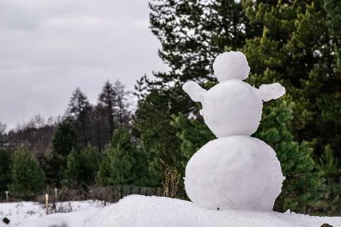 Snowman on the background of the forest Stock Photos