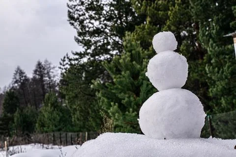 Snowman on the background of the forest Stock Photos