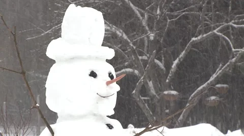 Snowman in a Blizzard Stock Footage 46752886