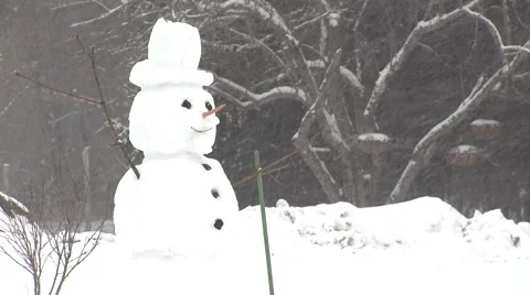 Snowman in a Blizzard Stock Footage 46752911