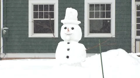 Snowman in a Blizzard Stock Footage 46753103