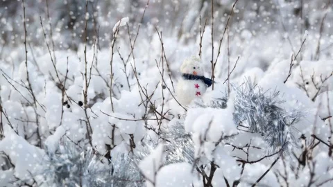 Snowman in the bushes Video stock 69847872