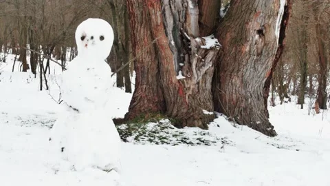 Snowman in a clearing in the forest in the snow, front view Vídeos de archivo 232481428