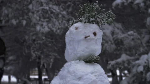 Snowman close up while snow flakes fall, trees in background, Slow Motion Stock Footage 293734479