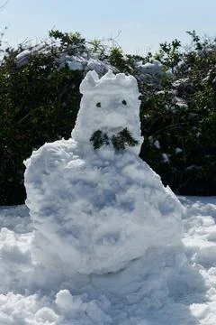Snowman with crown and moustache, vertical format Stock Photos