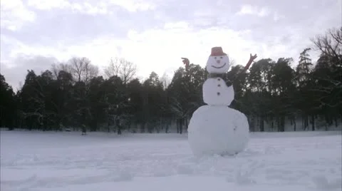 A snowman Video stock 11289676
