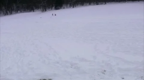 A snowman Stock Footage 11289678