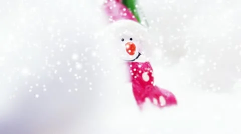 Snowman Stock Footage 12419424