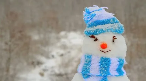 Snowman. Stock Footage 21314590