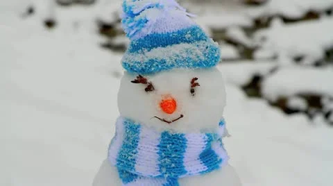 Snowman. Stock Footage 21315364