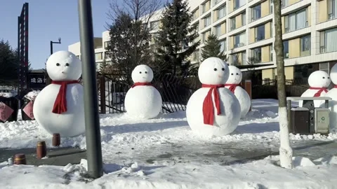 Snowman Stock Footage 232082675