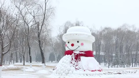 Snowman 库存影片 343719454