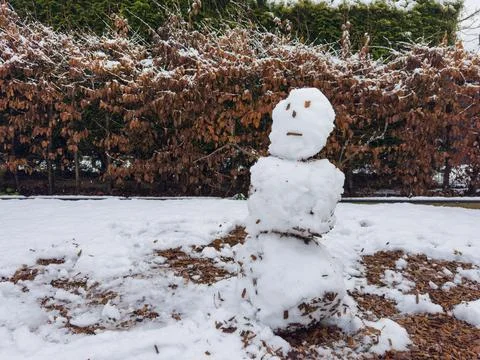 Snowman in the forest Stock Photos