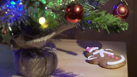 Snowman Gingerbread cookie being put by woman's hand under Christmas tree Stock Footage 83849796