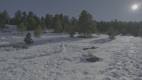 Snowman on hill Video stock 230113286