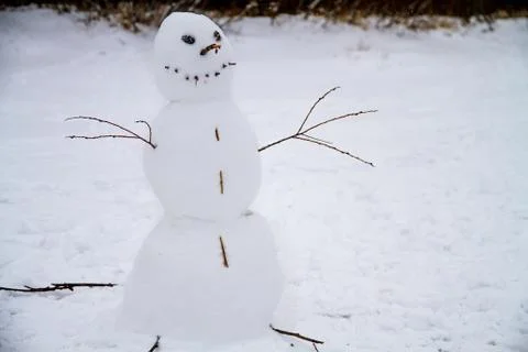 Snowman made with branches isolated Stock Photos