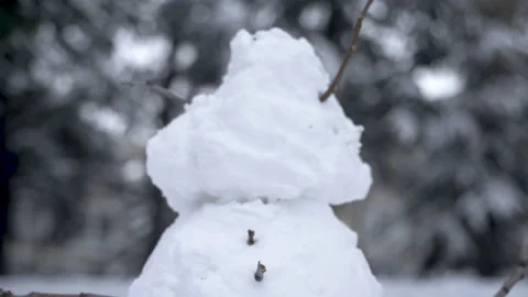 Snowman made of tree branches Stock Footage 166696816