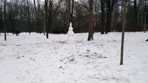 Snowman in the middle of the park Stock Footage 195961544
