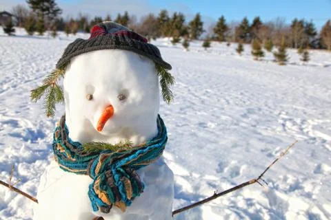 Snowman Stock Photos