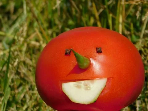 Snowman Stock Photos