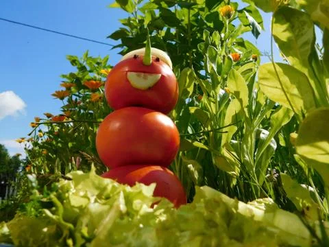 Snowman Stock Photos