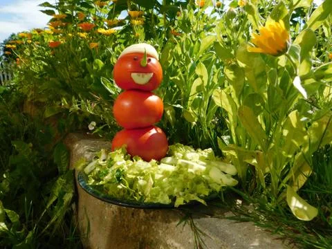 Snowman Stock Photos