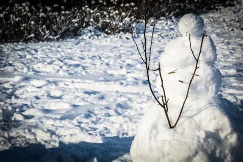 Snowman Stock Photos