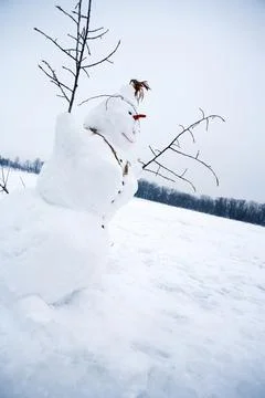 Snowman Stock Photos