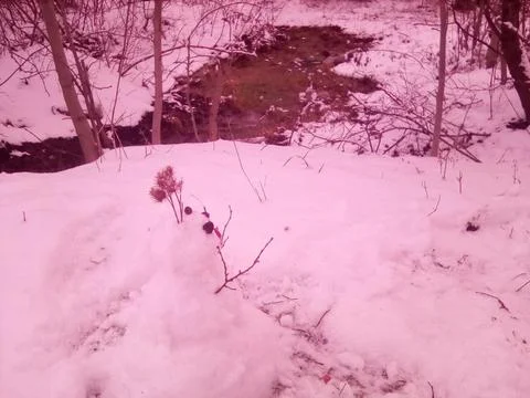 Snowman Stock Photos