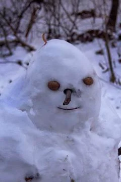 Snowman Portrait. Stock Photos