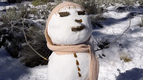 Snowman pull with scarf Stock Footage 100888561