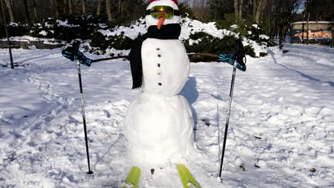 Snowman in ski equipment Stock Footage 161390379