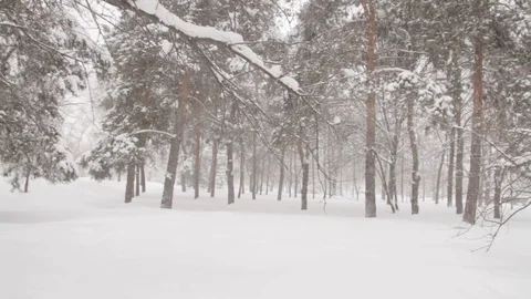 Snowman smiling in winter park Stock Footage 72231671