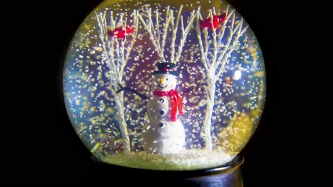 Snowman snow globe Stock Footage 223192595
