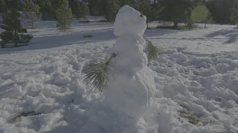 Snowman on snowy hillside Video stock 230113484