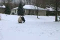 Snowman Time Lapse Footage