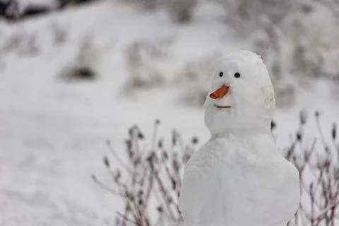 Snowman in town Stock Photos