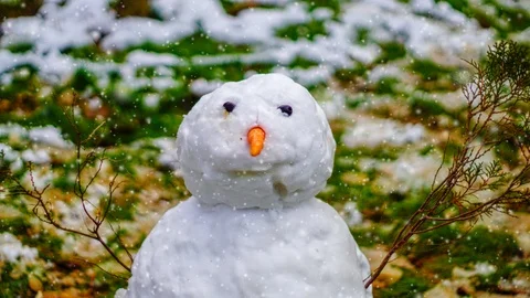 Snowman under snowfall. Stock Footage 100982063