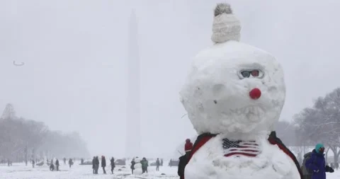 A snowman in Washington, DC Stock Footage 147630443