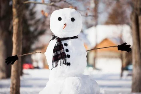 Snowman wearing scarf outdoors Stock Photos