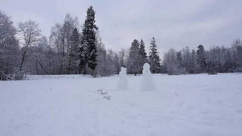 Snowman in winter Park Stock-Footage 71628993