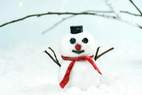 Snowman in a winter Stock Photos