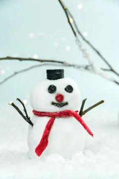Snowman in a winter Stock Photos