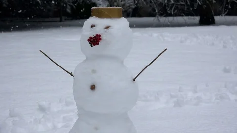 Snowman in winter scene, loopable background, London 2017 Stock Footage 83424633
