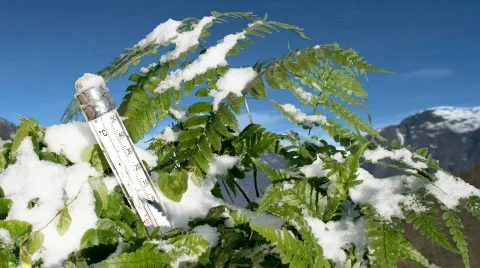 Snowmelt Stock Footage 307048