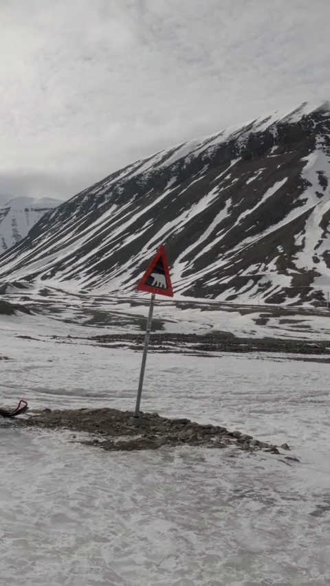 Snowmobile Beside Polar Bear Warning Sign in Svalbard Stock Footage 340036220