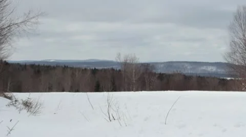 Snowmobile drives past Stock Footage 21737172