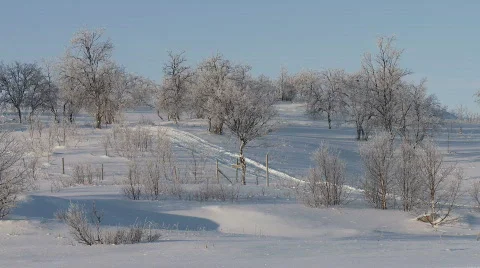 Snowmobile driving down snow covered hill Stock Footage 361967