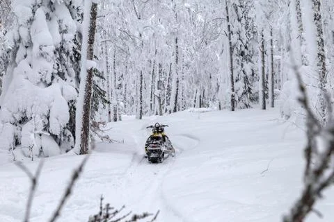 Snowmobile in forest Stock Photos